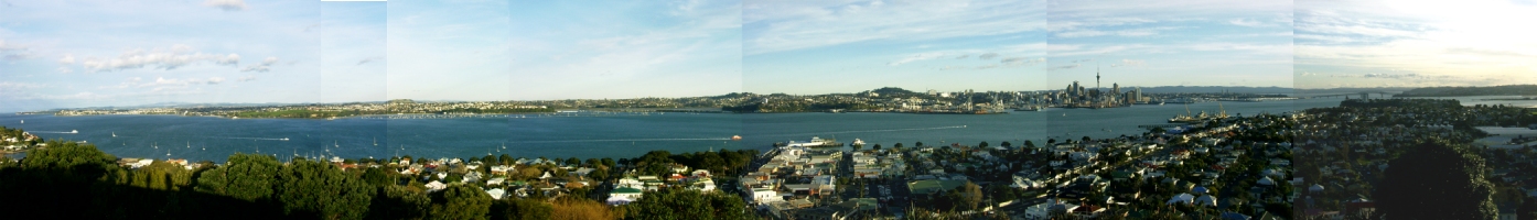 Overview Auckland inner city