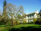 The old governour's house is now cafeteria for the lecturers and employees